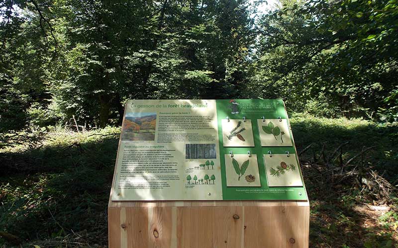 Panneau pédagogique du sentier du Mon St Rigaud