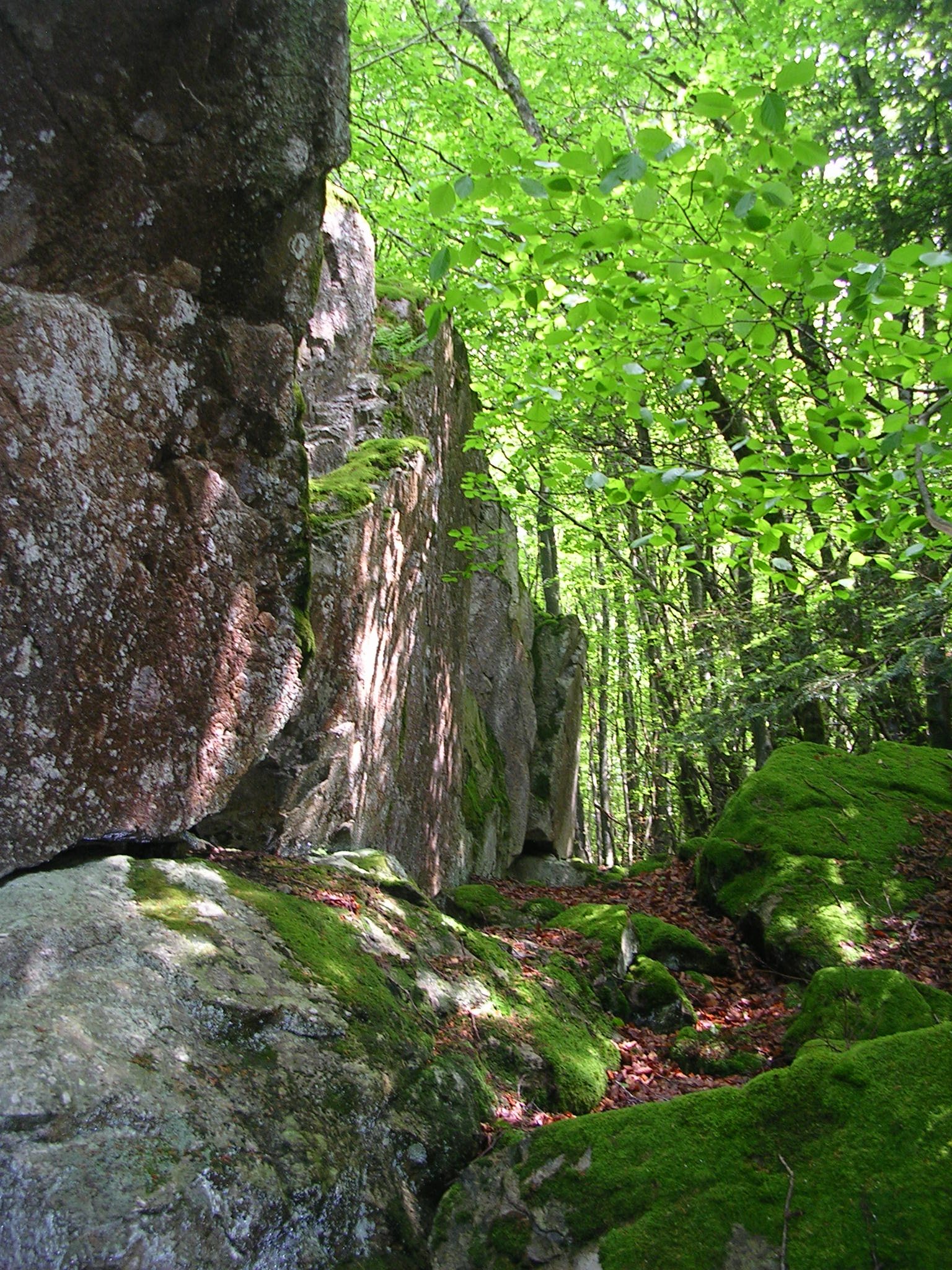 18_pierre_des_corneilles.2.5@AGTB Land'art