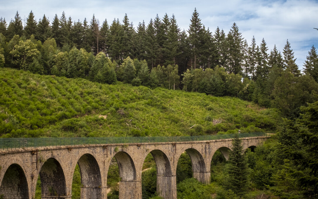 Monsols – Deux-Grosnes